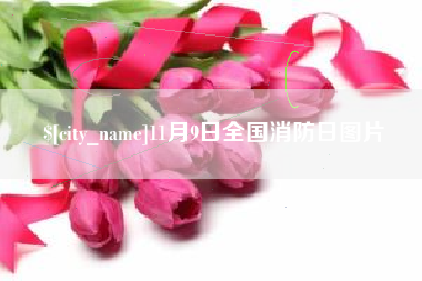 盘锦11月9日全国消防日图片
