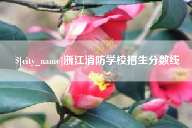 盘锦浙江消防学校招生分数线