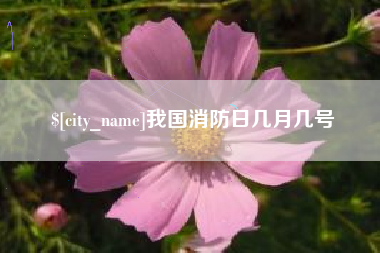 盘锦我国消防日几月几号