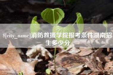 盘锦消防救援学院报考条件湖南招生多少分