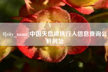 盘锦中国失信被执行人信息查询公开网址