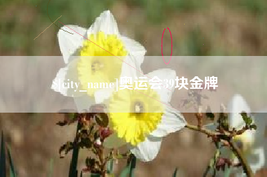 盘锦奥运会39块金牌