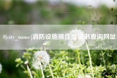 盘锦消防设施操作员证书查询网址