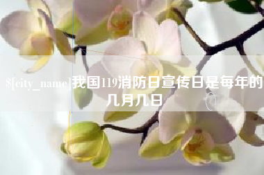 盘锦我国119消防日宣传日是每年的几月几日