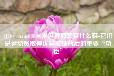 盘锦5000米世界冠军穿什么鞋-它们是运动员取得优异成绩背后的重要“功臣”
