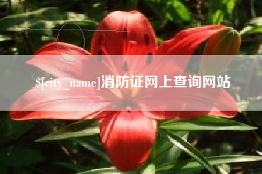 盘锦消防证网上查询网站