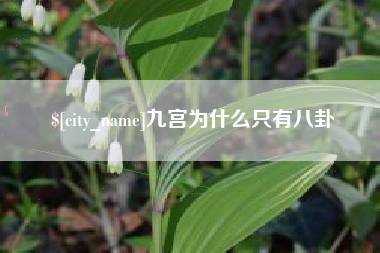 盘锦九宫为什么只有八卦
