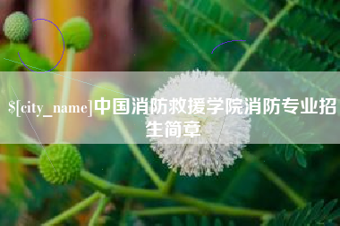 盘锦中国消防救援学院消防专业招生简章