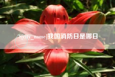 盘锦我国消防日是哪日