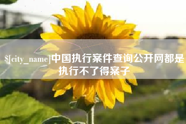 盘锦中国执行案件查询公开网都是执行不了得案子