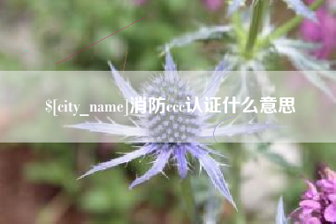 盘锦消防ccc认证什么意思