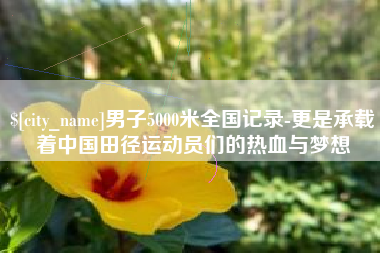 盘锦男子5000米全国记录-更是承载着中国田径运动员们的热血与梦想