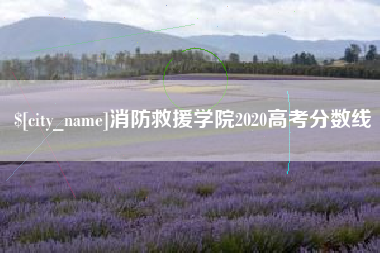 盘锦消防救援学院2020高考分数线