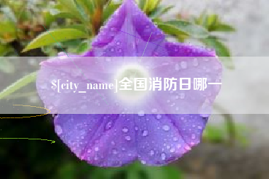 盘锦全国消防日哪一