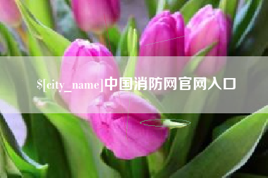 盘锦中国消防网官网入口