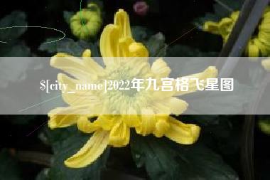 盘锦2022年九宫格飞星图