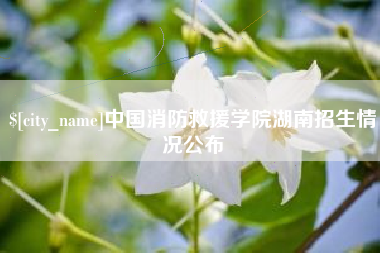盘锦中国消防救援学院湖南招生情况公布