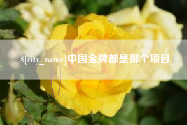 盘锦中国金牌都是哪个项目