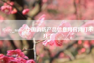 盘锦中国消防产品信息网官网打不开了