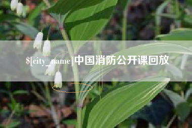 盘锦中国消防公开课回放