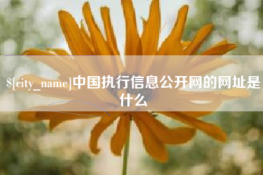 盘锦中国执行信息公开网的网址是什么