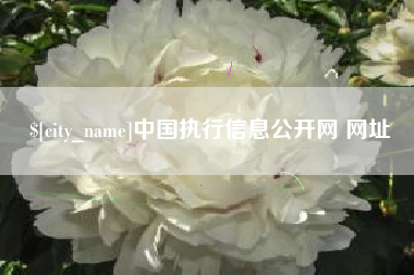 盘锦中国执行信息公开网 网址