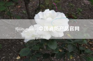 盘锦中国消防产品官网