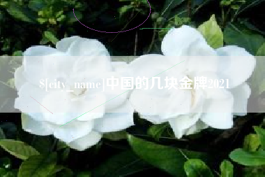 盘锦中国的几块金牌2021