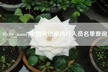 盘锦中国失信被执行人员名单查询