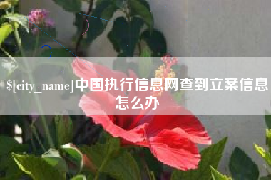 盘锦中国执行信息网查到立案信息怎么办