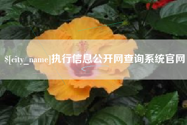 盘锦执行信息公开网查询系统官网