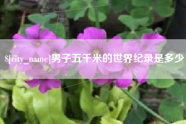 盘锦男子五千米的世界纪录是多少