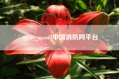 盘锦中国消防网平台