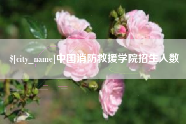 盘锦中国消防救援学院招生人数