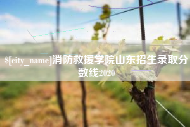 盘锦消防救援学院山东招生录取分数线2020