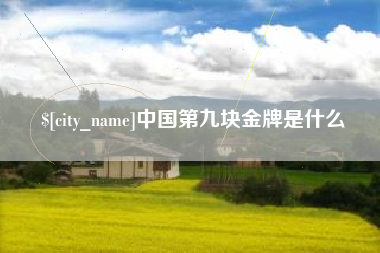 盘锦中国第九块金牌是什么