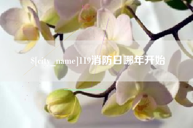 盘锦119消防日哪年开始
