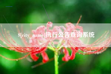 盘锦执行公告查询系统