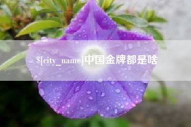 盘锦中国金牌都是啥