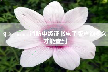 盘锦消防中级证书电子版查询多久才能查到