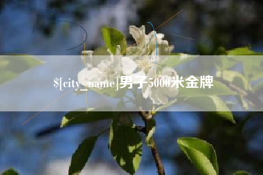 盘锦男子5000米金牌