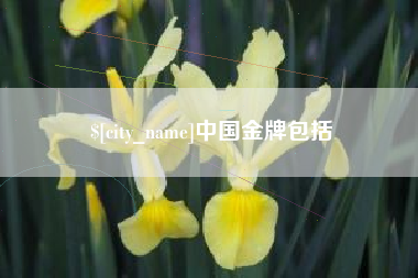 盘锦中国金牌包括