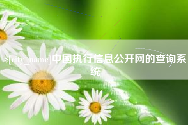 盘锦中国执行信息公开网的查询系统
