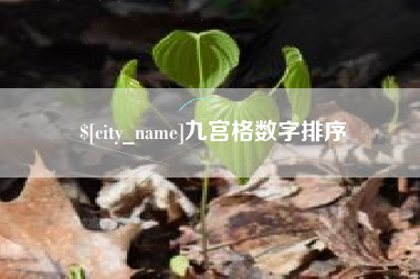 盘锦九宫格数字排序