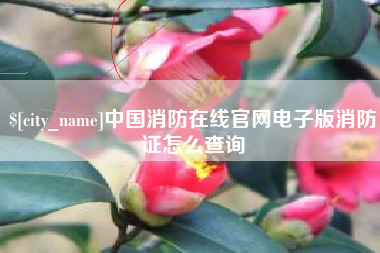 盘锦中国消防在线官网电子版消防证怎么查询