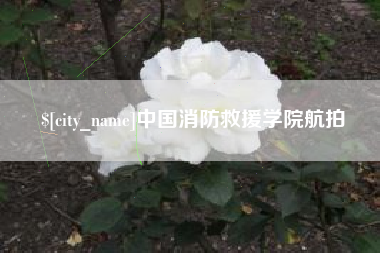 盘锦中国消防救援学院航拍