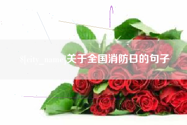 盘锦关于全国消防日的句子