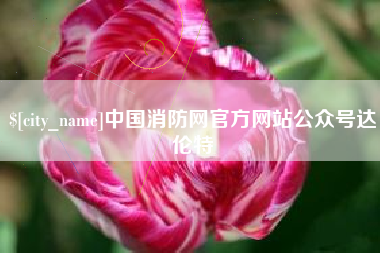盘锦中国消防网官方网站公众号达伦特