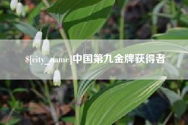 盘锦中国第九金牌获得者
