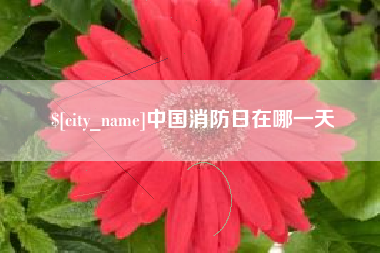 盘锦中国消防日在哪一天